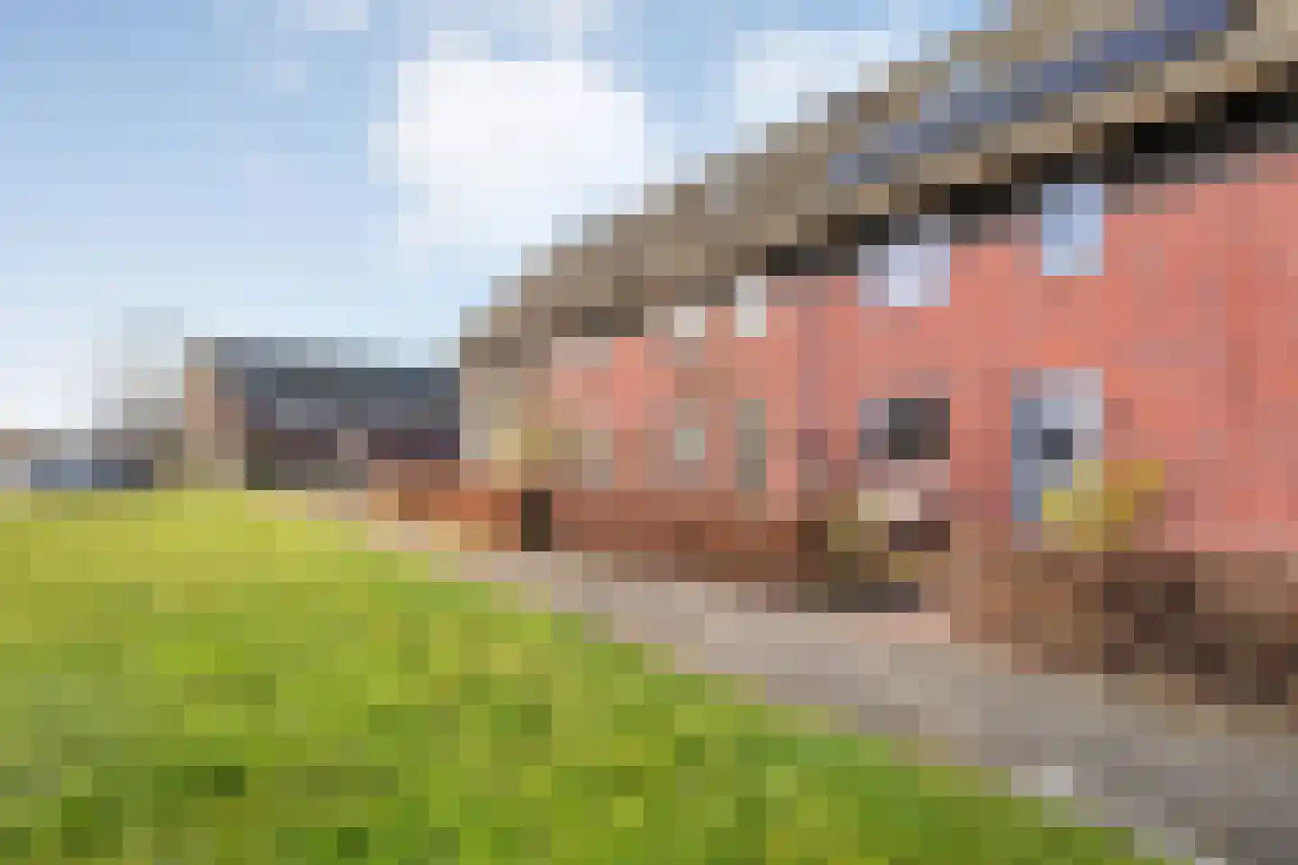 Bronforel 8 Nieuwleusen thumbnail 10