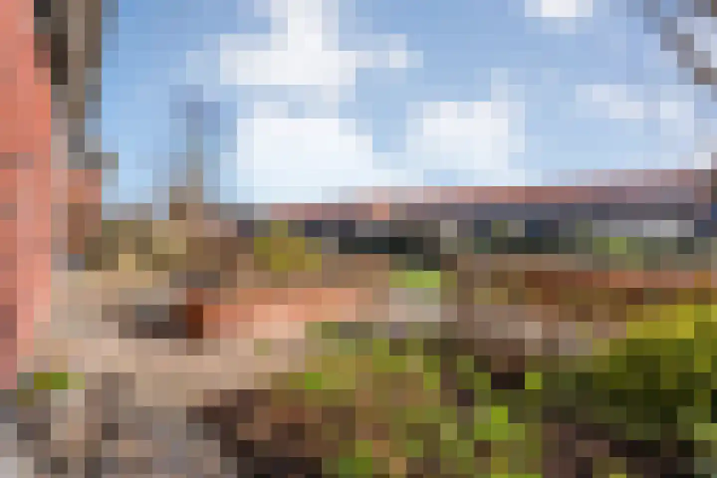 Bronforel 8 Nieuwleusen thumbnail 11