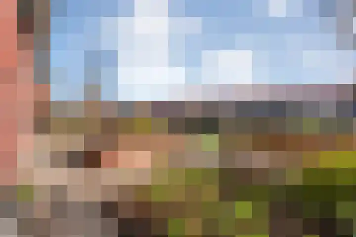 Bronforel 8 Nieuwleusen thumbnail 11
