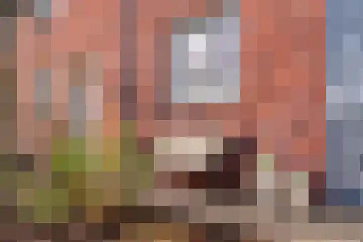 Bronforel 8 Nieuwleusen thumbnail 12