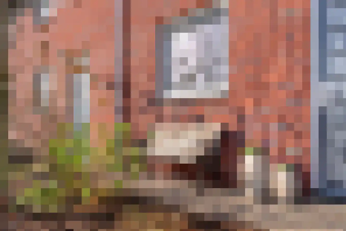 Bronforel 8 Nieuwleusen thumbnail 12