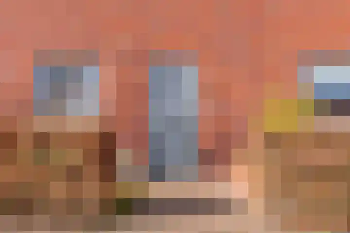 Bronforel 8 Nieuwleusen thumbnail 13