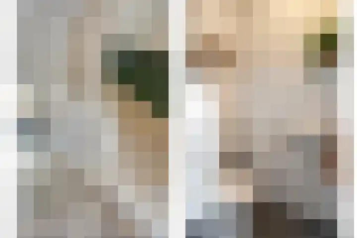 Bronforel 8 Nieuwleusen thumbnail 15