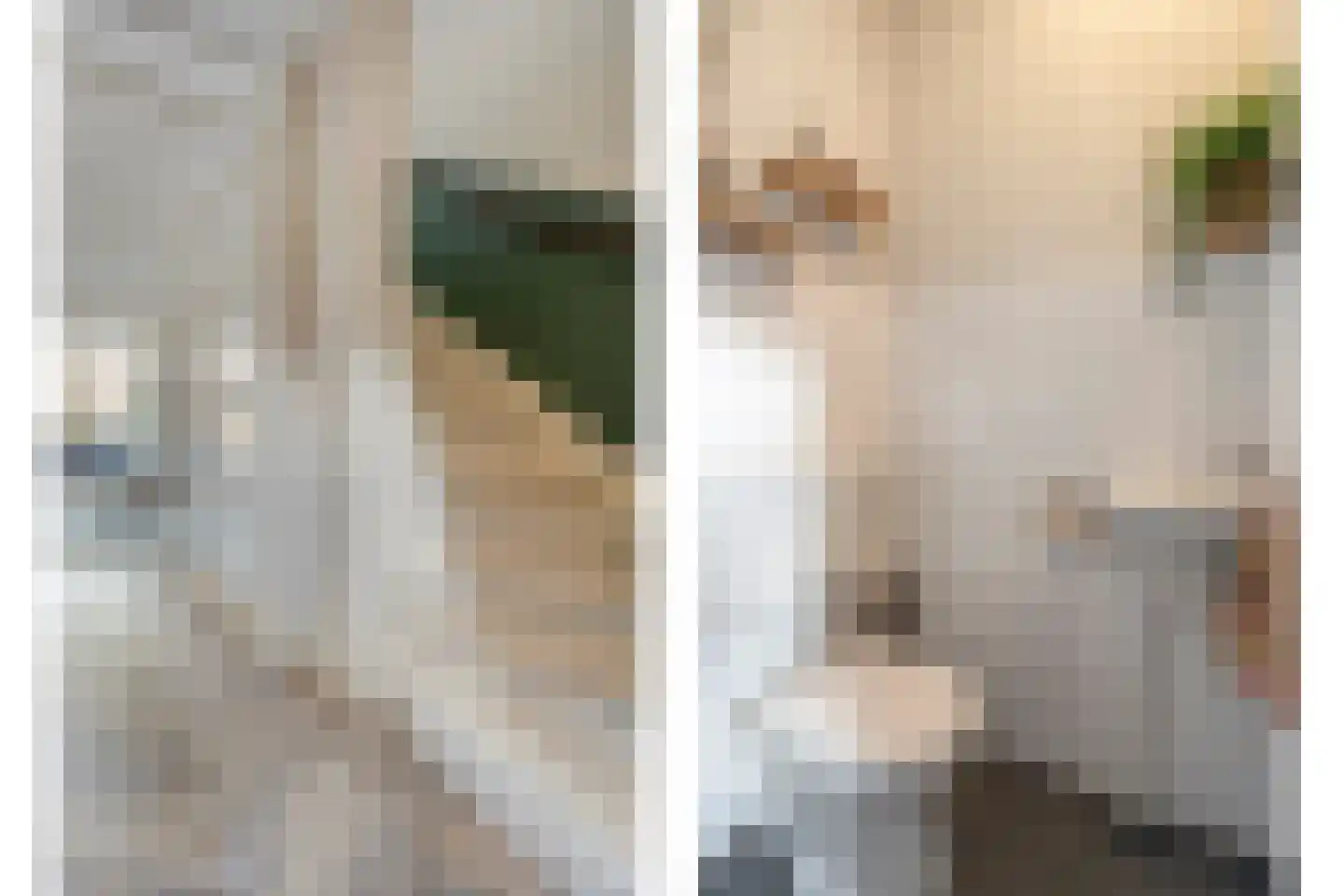 Bronforel 8 Nieuwleusen thumbnail 15