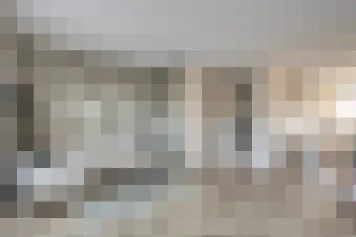 Bronforel 8 Nieuwleusen thumbnail 17