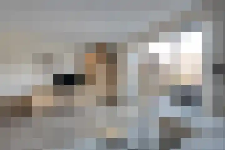 Bronforel 8 Nieuwleusen thumbnail 18