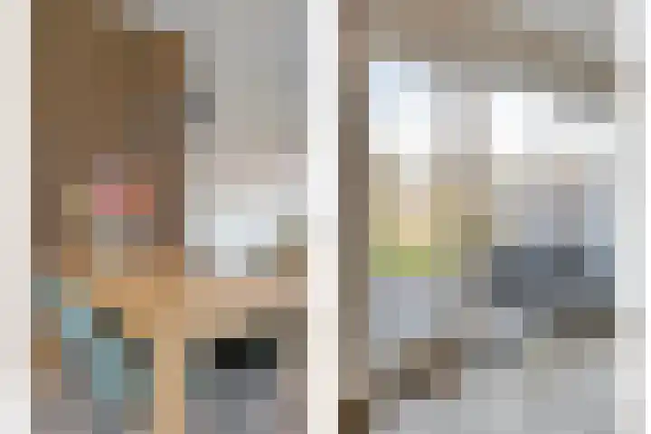 Bronforel 8 Nieuwleusen thumbnail 21