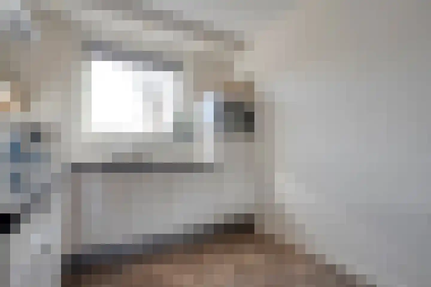 Bronforel 8 Nieuwleusen thumbnail 22