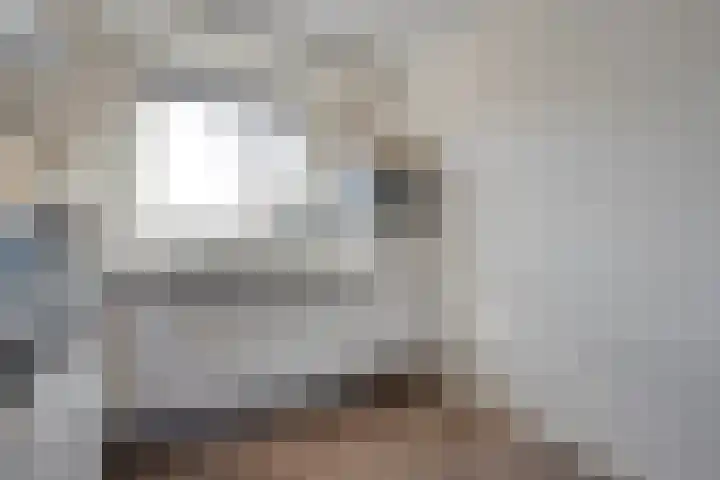 Bronforel 8 Nieuwleusen thumbnail 22