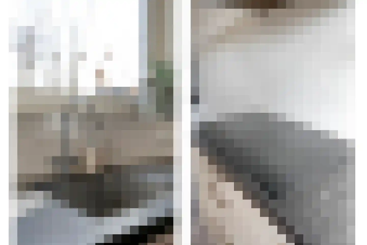 Bronforel 8 Nieuwleusen thumbnail 23