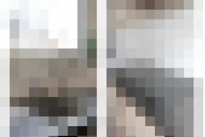 Bronforel 8 Nieuwleusen thumbnail 23