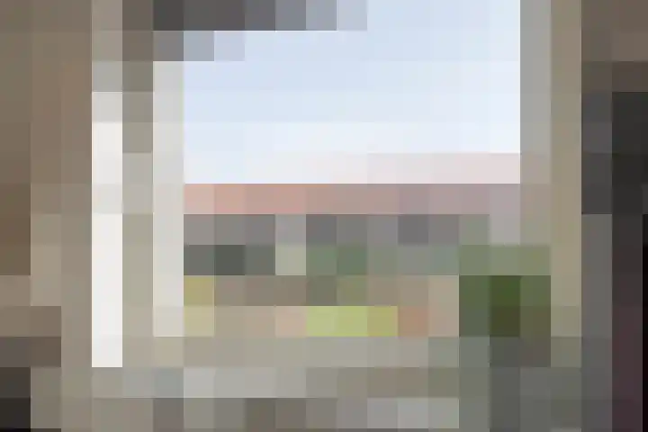 Bronforel 8 Nieuwleusen thumbnail 24