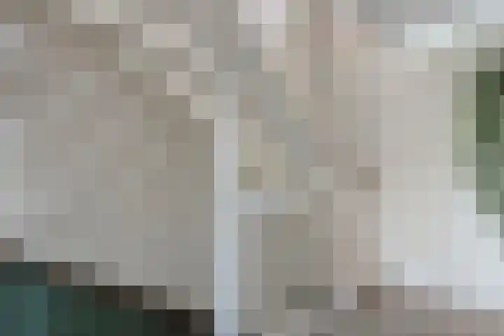 Bronforel 8 Nieuwleusen thumbnail 25