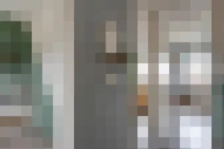 Bronforel 8 Nieuwleusen thumbnail 26