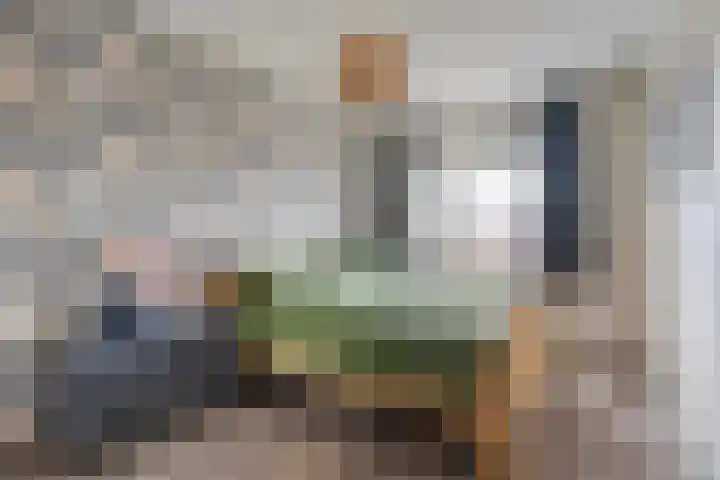 Bronforel 8 Nieuwleusen thumbnail 27