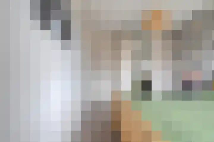 Bronforel 8 Nieuwleusen thumbnail 28