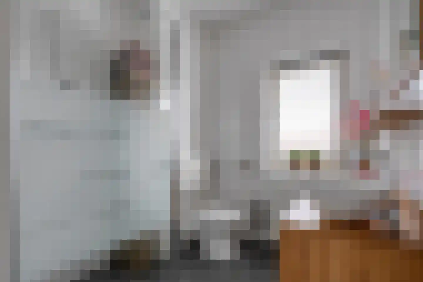 Bronforel 8 Nieuwleusen thumbnail 31