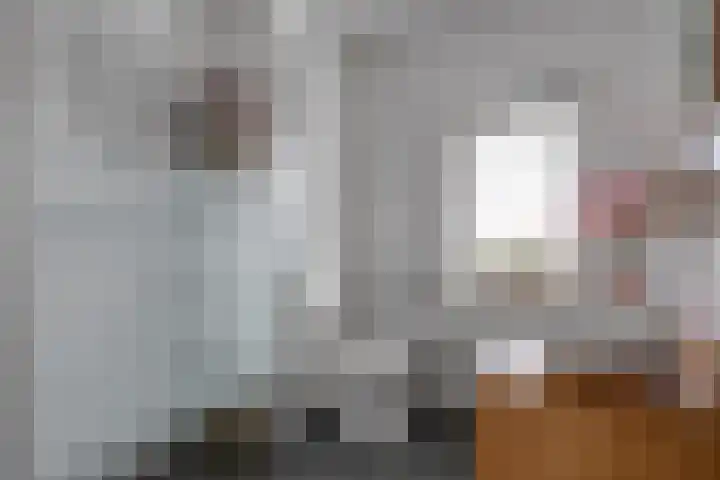 Bronforel 8 Nieuwleusen thumbnail 31