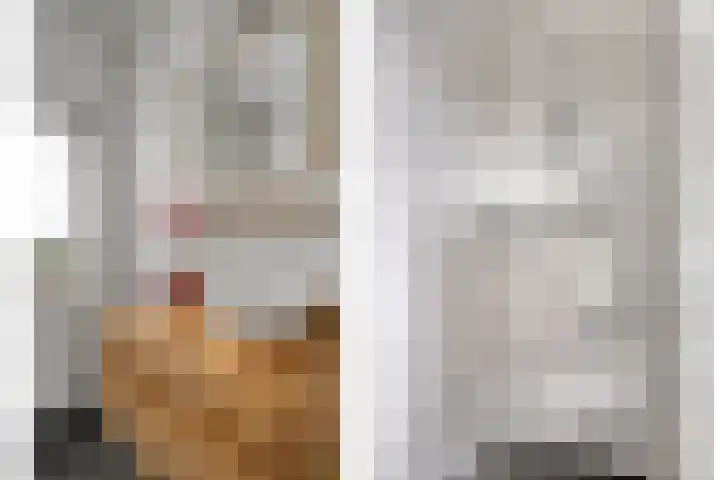 Bronforel 8 Nieuwleusen thumbnail 33