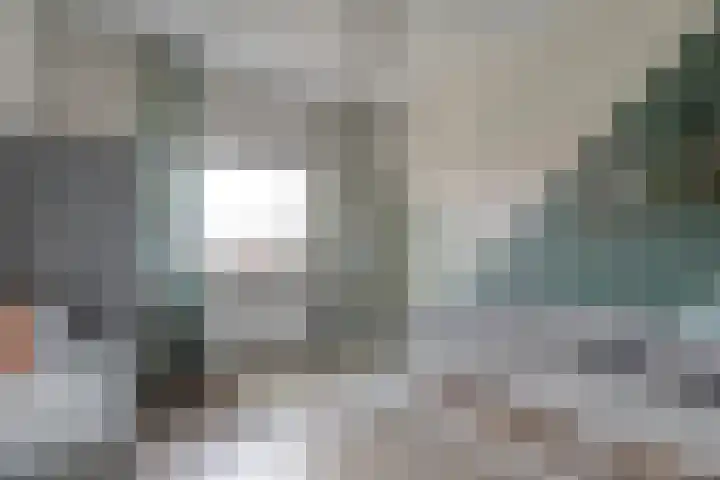 Bronforel 8 Nieuwleusen thumbnail 34