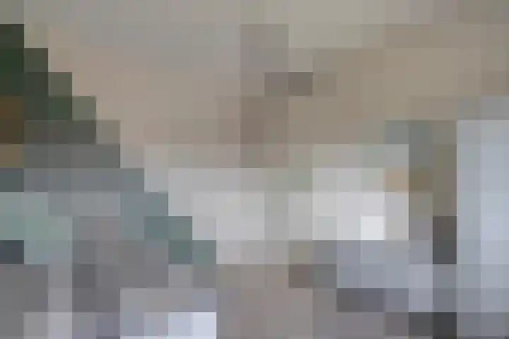 Bronforel 8 Nieuwleusen thumbnail 35