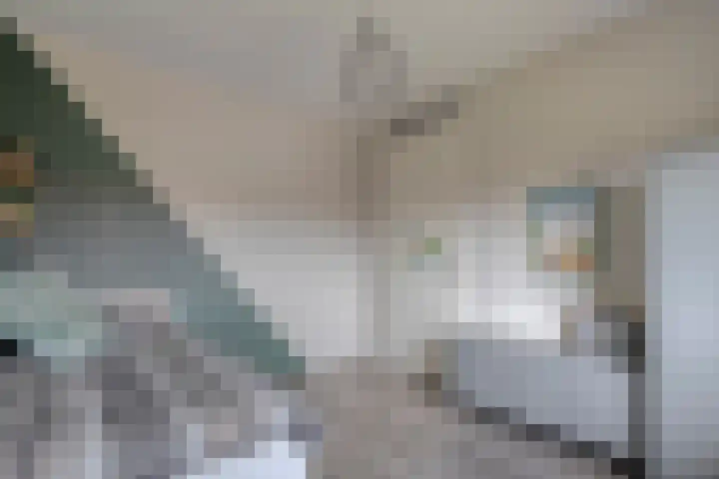 Bronforel 8 Nieuwleusen thumbnail 35