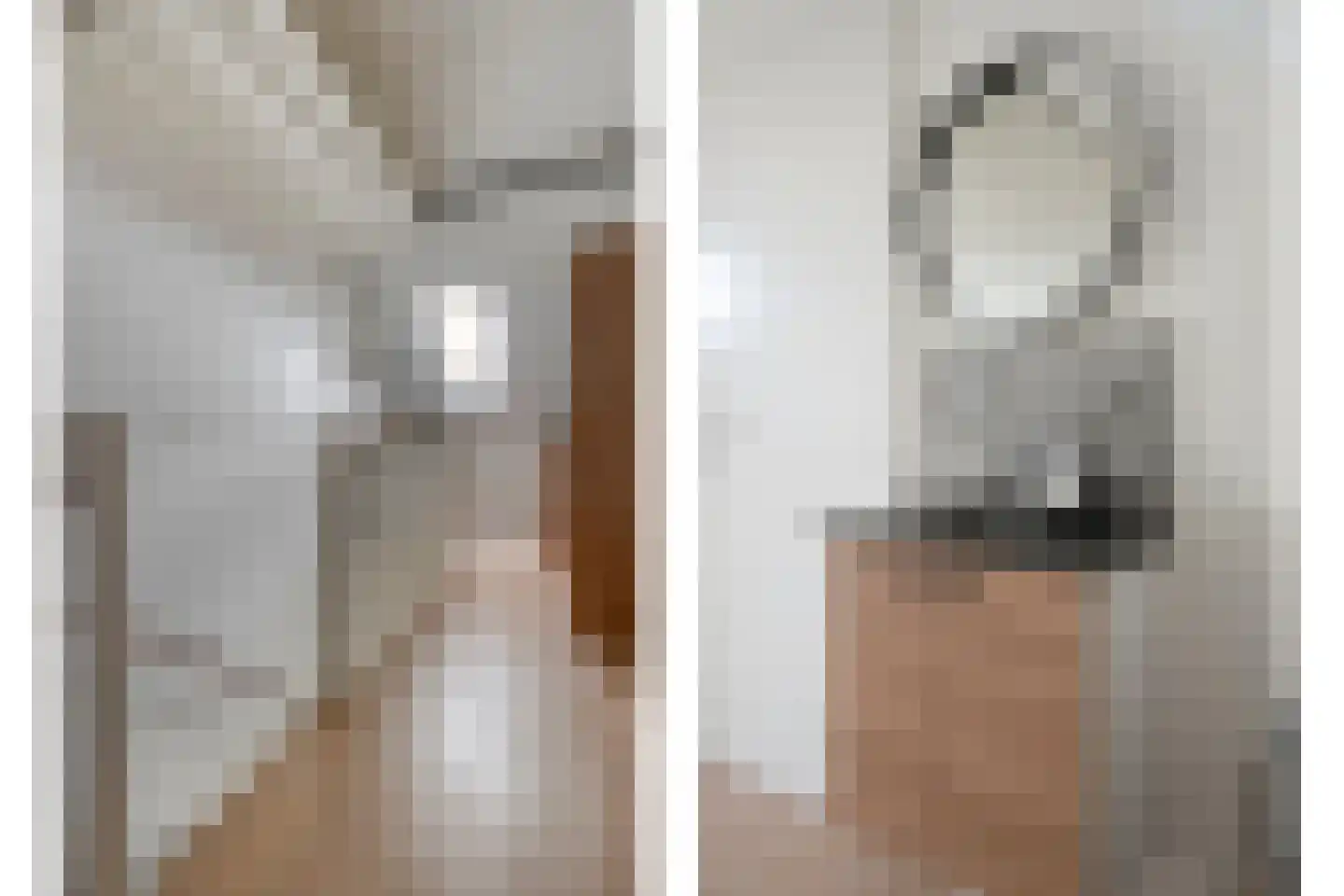 Bronforel 8 Nieuwleusen thumbnail 37
