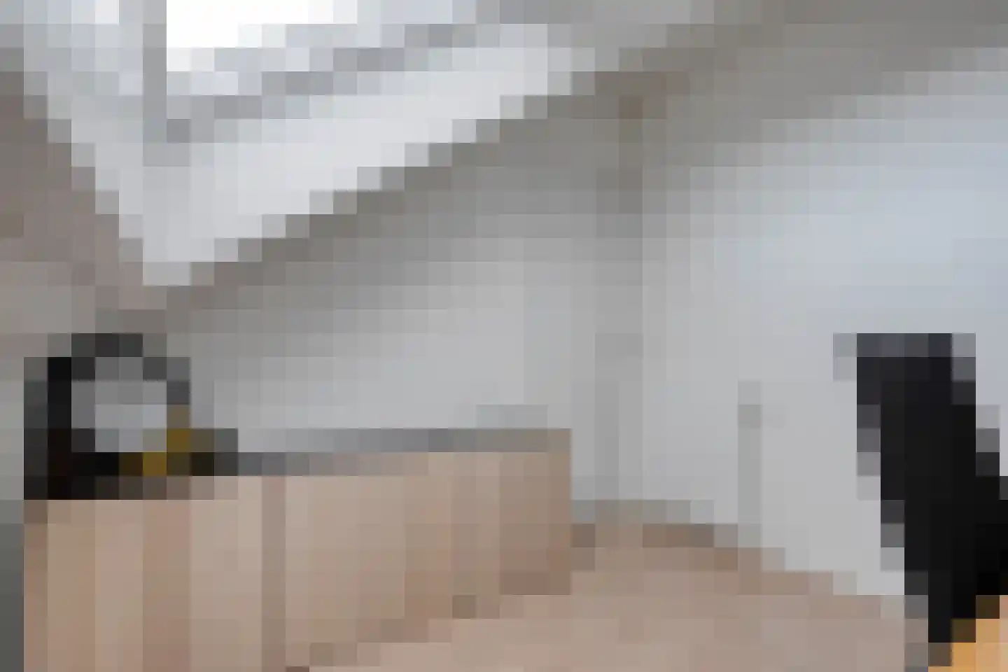 Bronforel 8 Nieuwleusen thumbnail 39