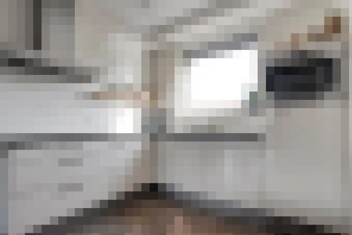 Bronforel 8 Nieuwleusen thumbnail 4