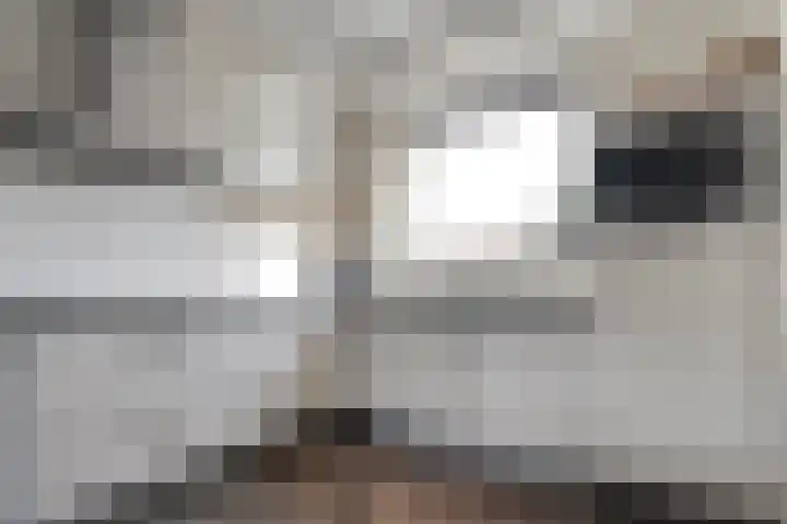 Bronforel 8 Nieuwleusen thumbnail 4