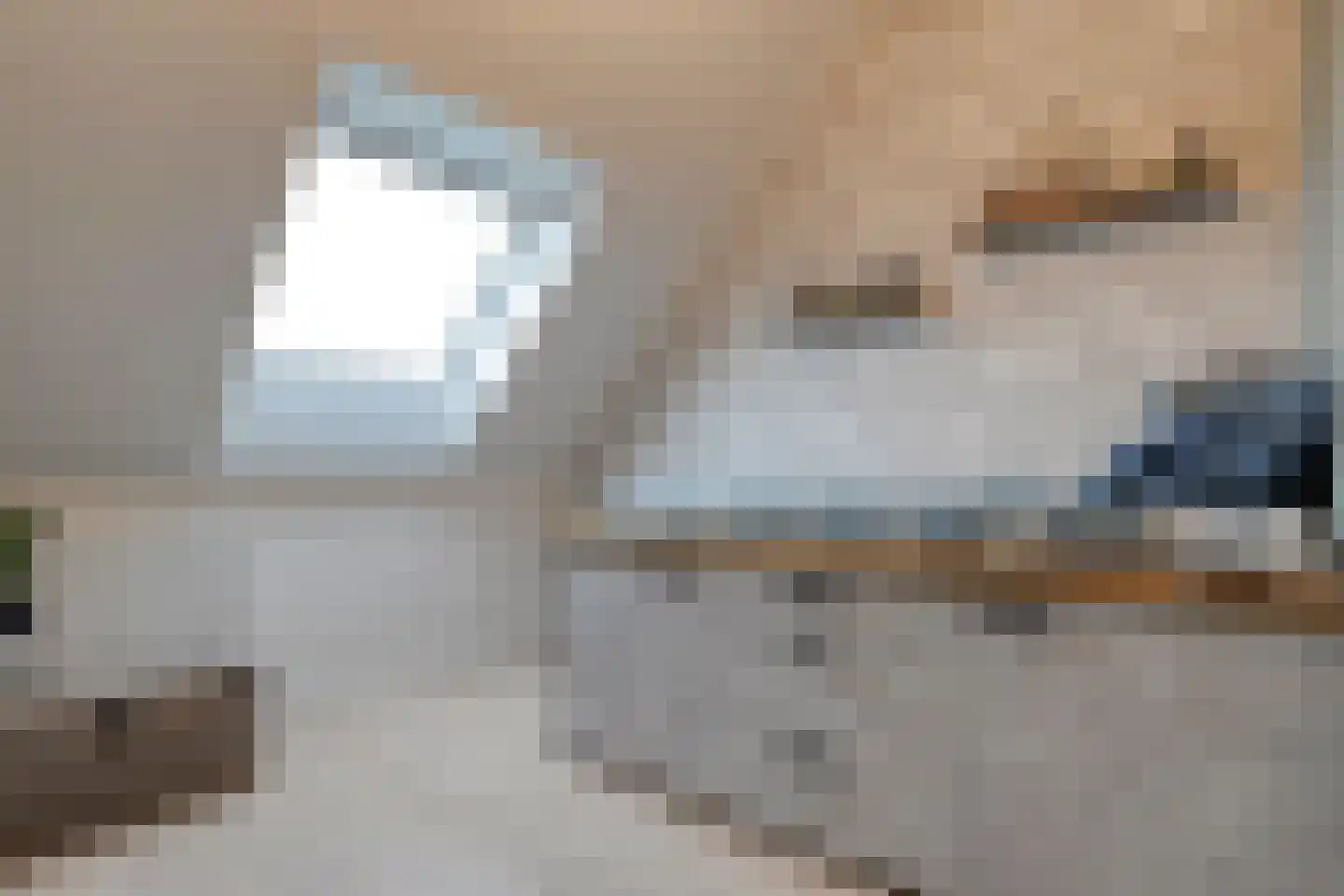 Bronforel 8 Nieuwleusen thumbnail 40