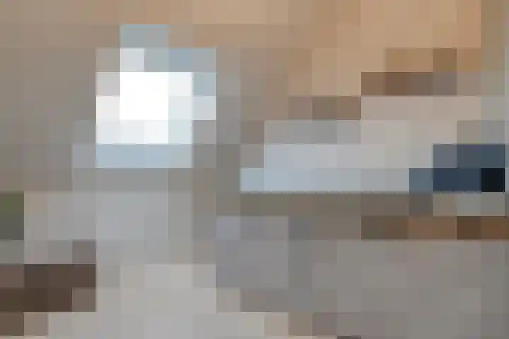 Bronforel 8 Nieuwleusen thumbnail 40