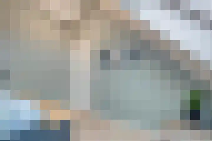 Bronforel 8 Nieuwleusen thumbnail 41
