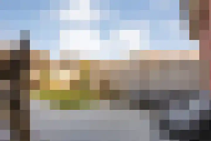 Bronforel 8 Nieuwleusen thumbnail 42