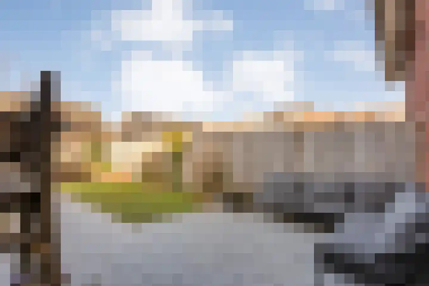 Bronforel 8 Nieuwleusen thumbnail 42