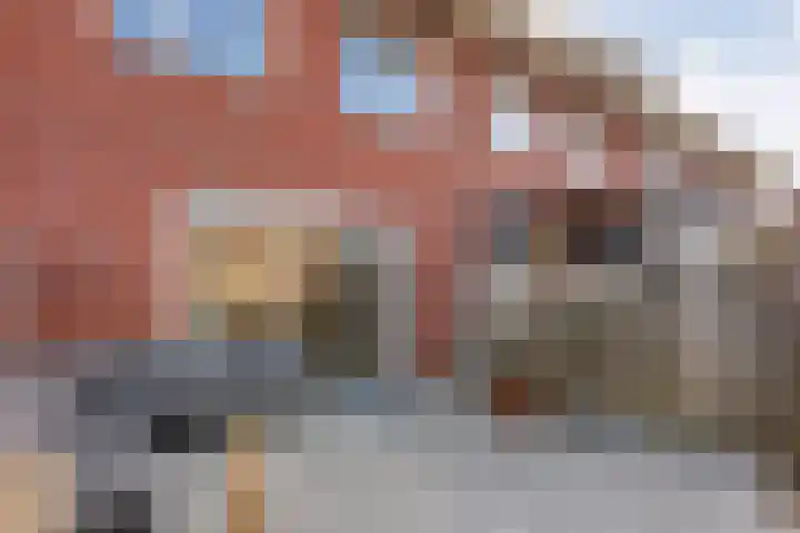 Bronforel 8 Nieuwleusen thumbnail 43