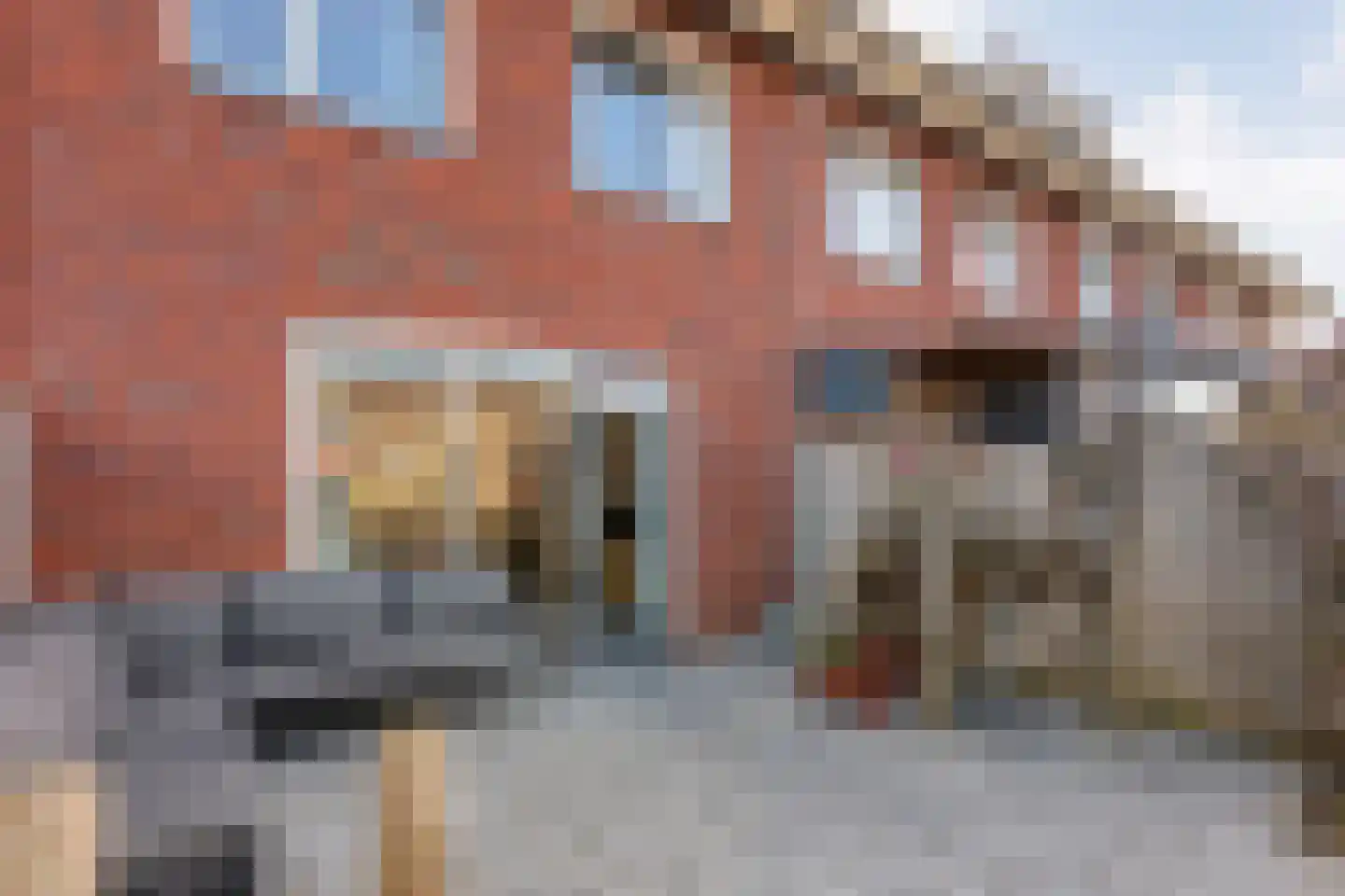 Bronforel 8 Nieuwleusen thumbnail 43