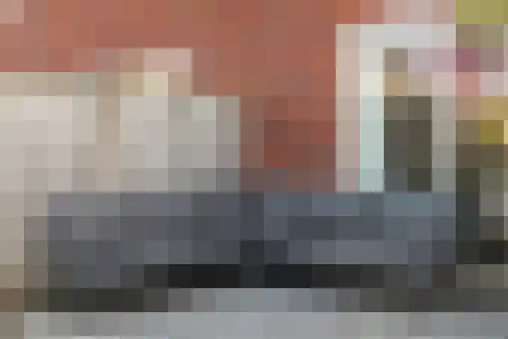 Bronforel 8 Nieuwleusen thumbnail 44