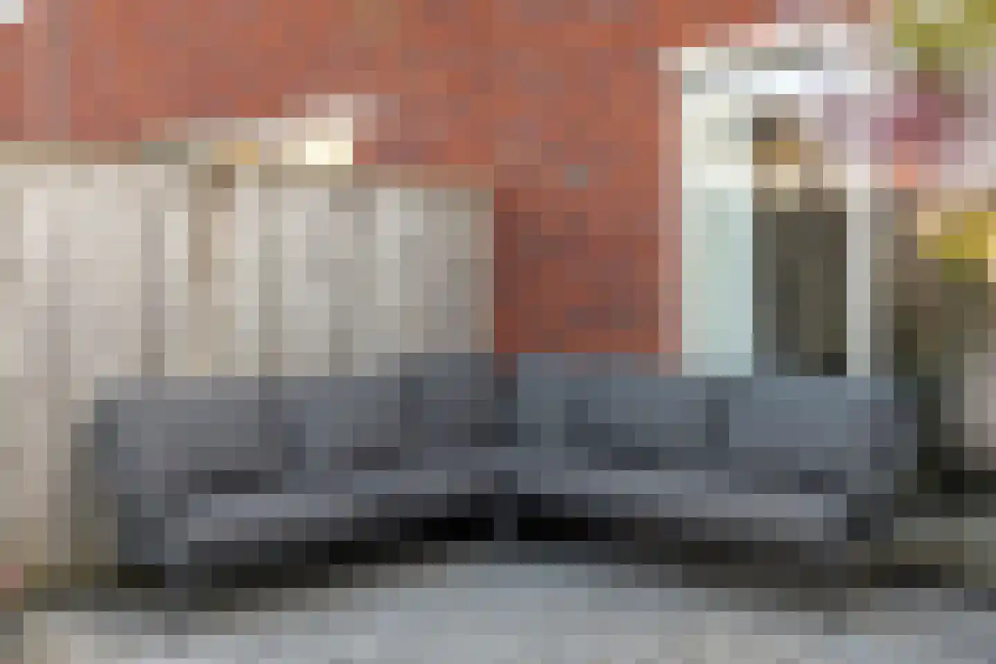 Bronforel 8 Nieuwleusen thumbnail 44