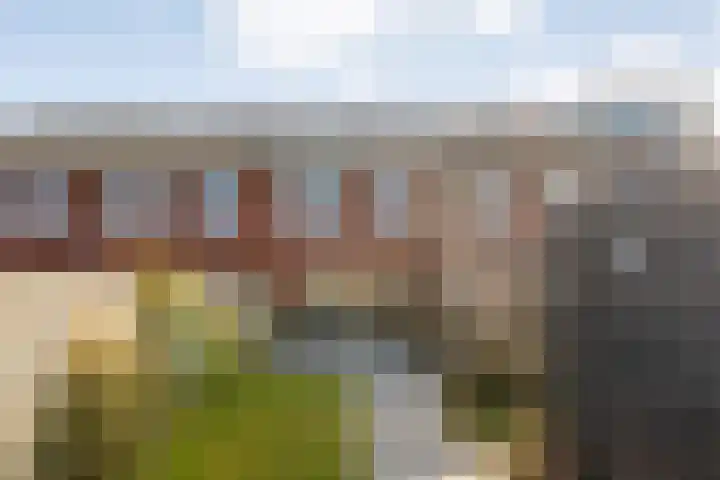 Bronforel 8 Nieuwleusen thumbnail 45