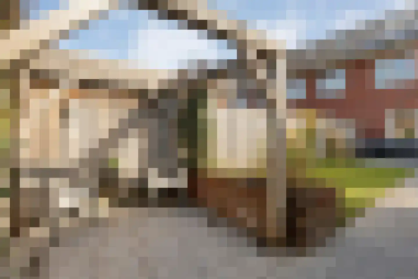 Bronforel 8 Nieuwleusen thumbnail 46