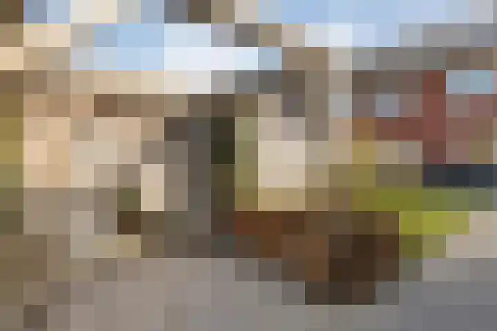 Bronforel 8 Nieuwleusen thumbnail 46