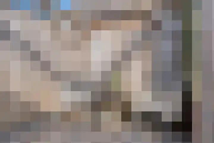 Bronforel 8 Nieuwleusen thumbnail 47