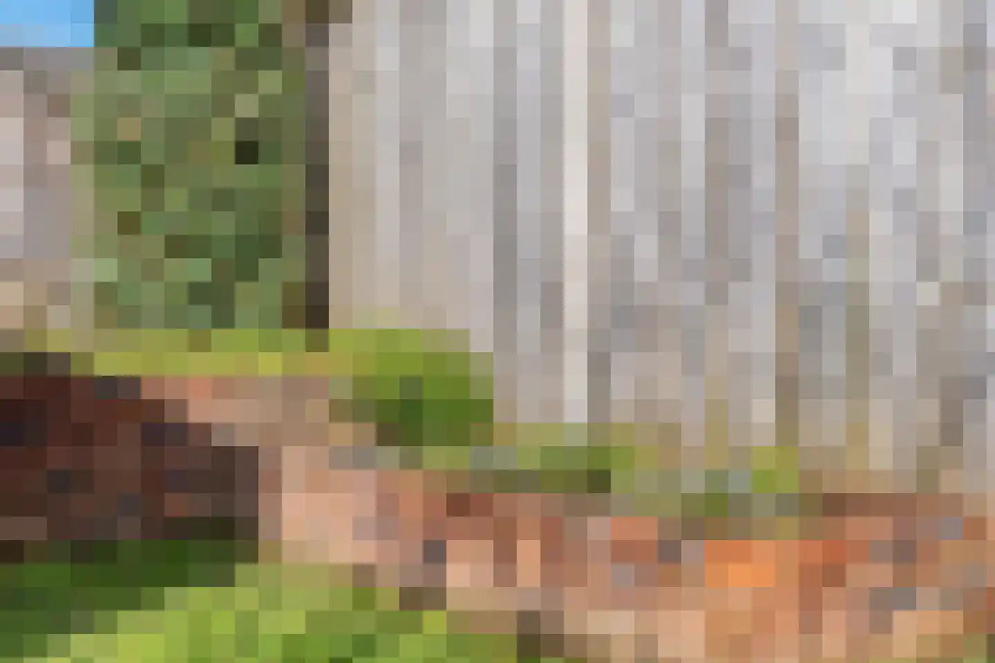 Bronforel 8 Nieuwleusen thumbnail 48
