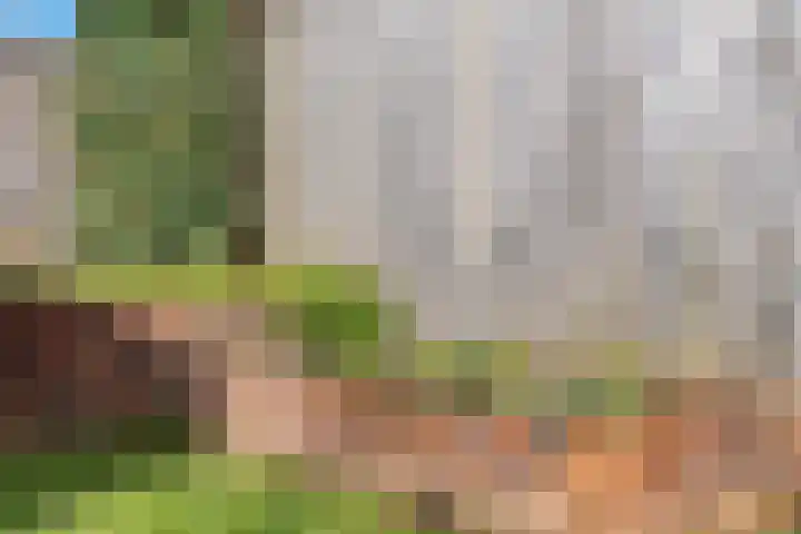 Bronforel 8 Nieuwleusen thumbnail 48
