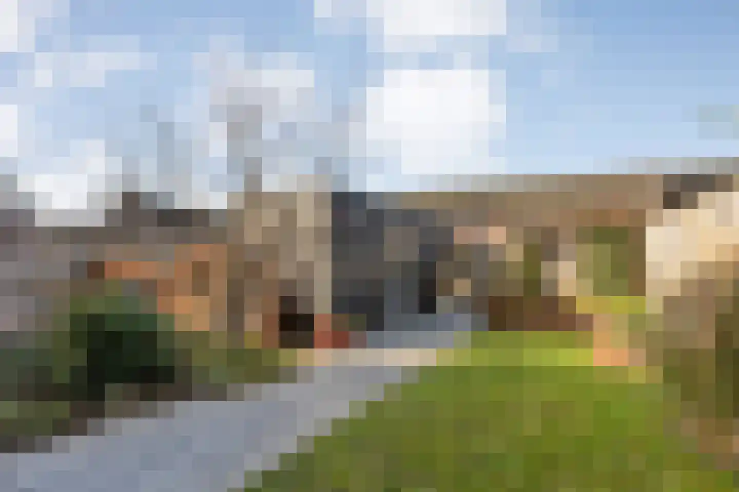 Bronforel 8 Nieuwleusen thumbnail 5
