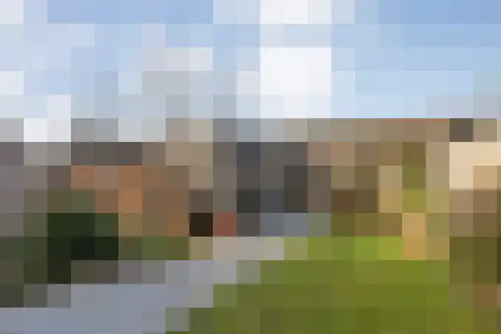 Bronforel 8 Nieuwleusen thumbnail 5
