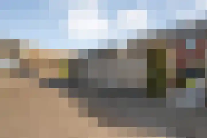 Bronforel 8 Nieuwleusen thumbnail 50