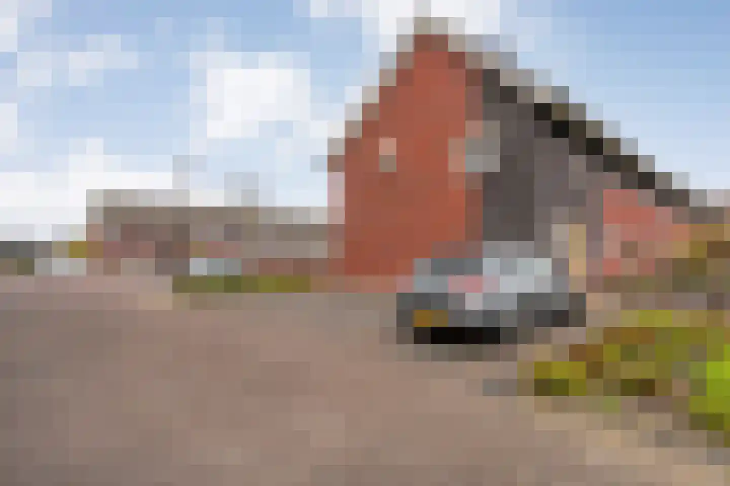 Bronforel 8 Nieuwleusen thumbnail 51
