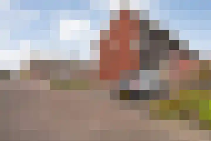 Bronforel 8 Nieuwleusen thumbnail 51